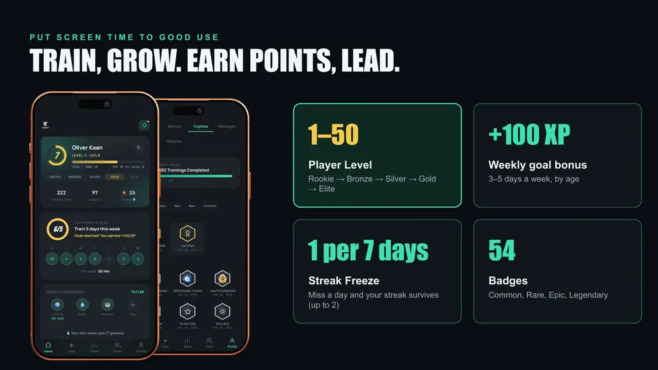 Player level, weekly goal, streak freeze and badges